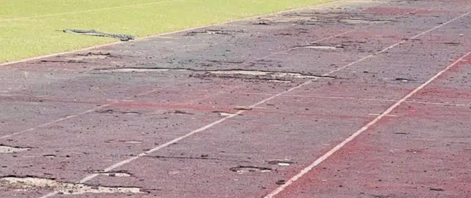 Des images dégradantes du stade de Garoua qui montrent que l’ONIES avait raison
