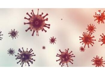 Mpox : deux décès enregistrés au Cameroun, le gouvernement renforce les mesures de prévention