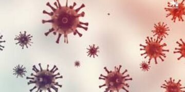 Mpox : deux décès enregistrés au Cameroun, le gouvernement renforce les mesures de prévention